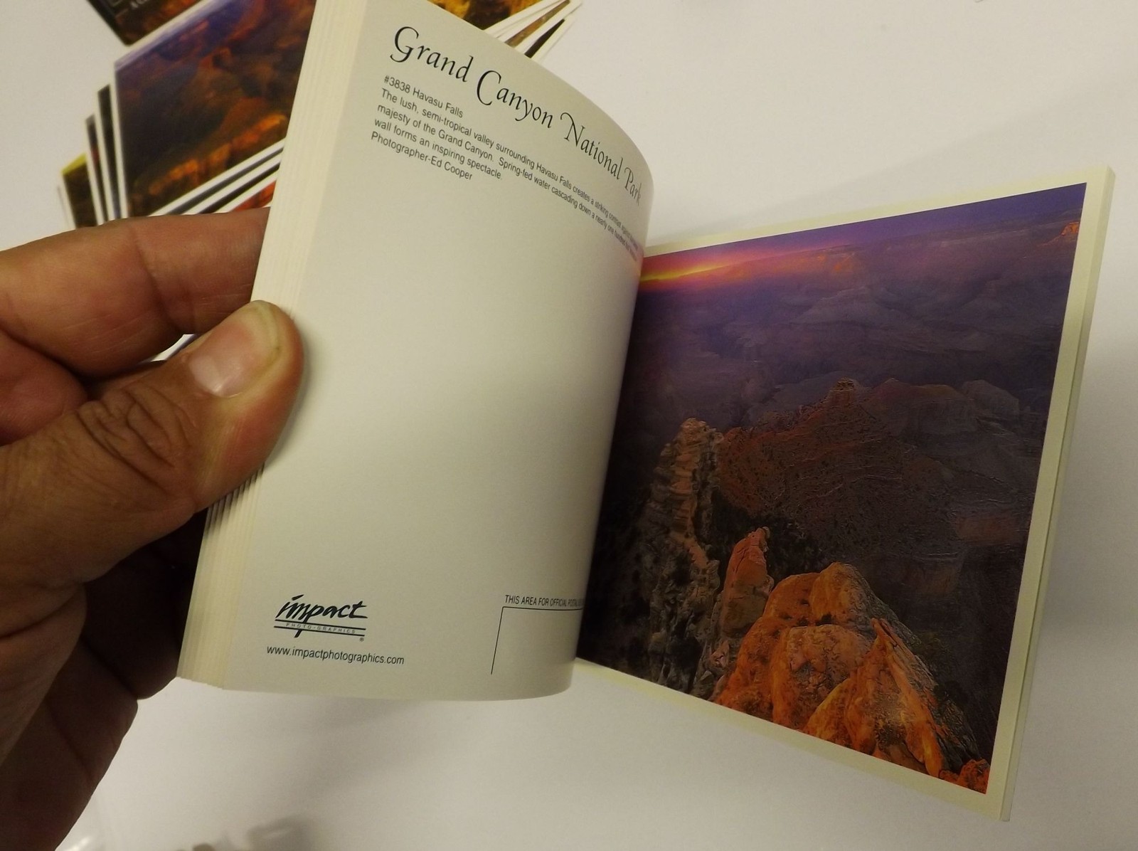 Grand Canyon National Park Postcards Panoramic Prints Sets Collectible Souvenir