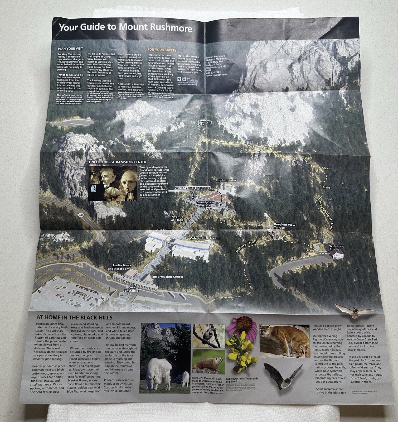 Souvenir Color Mount Rushmore Memorial Brochure Fold-Out Poster SD 2017