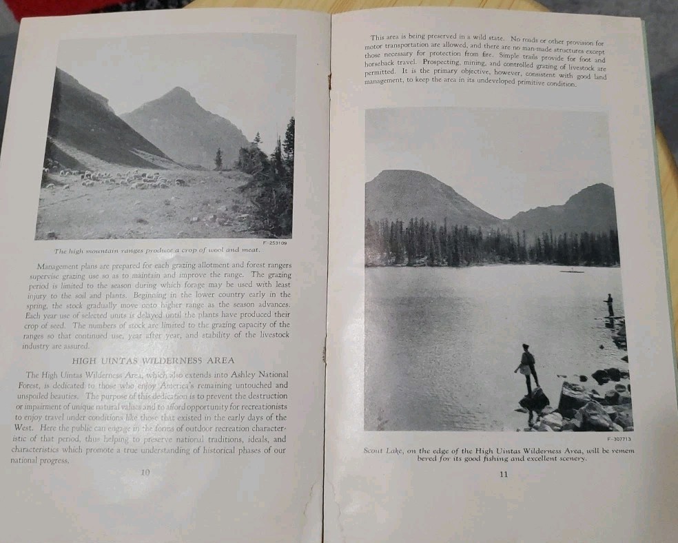 Vtg Wasatch National Forest Utah Brochure 1952 USDA Service Travel Souvenir