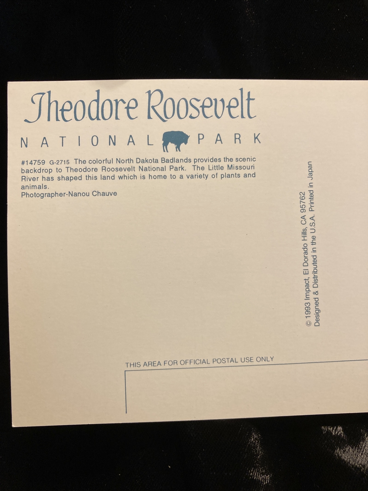 Vintage Theodore Roosevelt National Park Postcard Unposted RPPC
