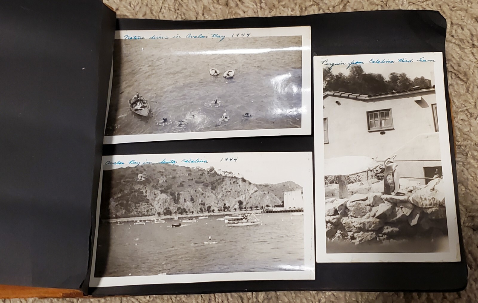 Vintage 1900’s Leather Photo Album B/W Photos Sequoia Nat’l. Park Gen. Sherman