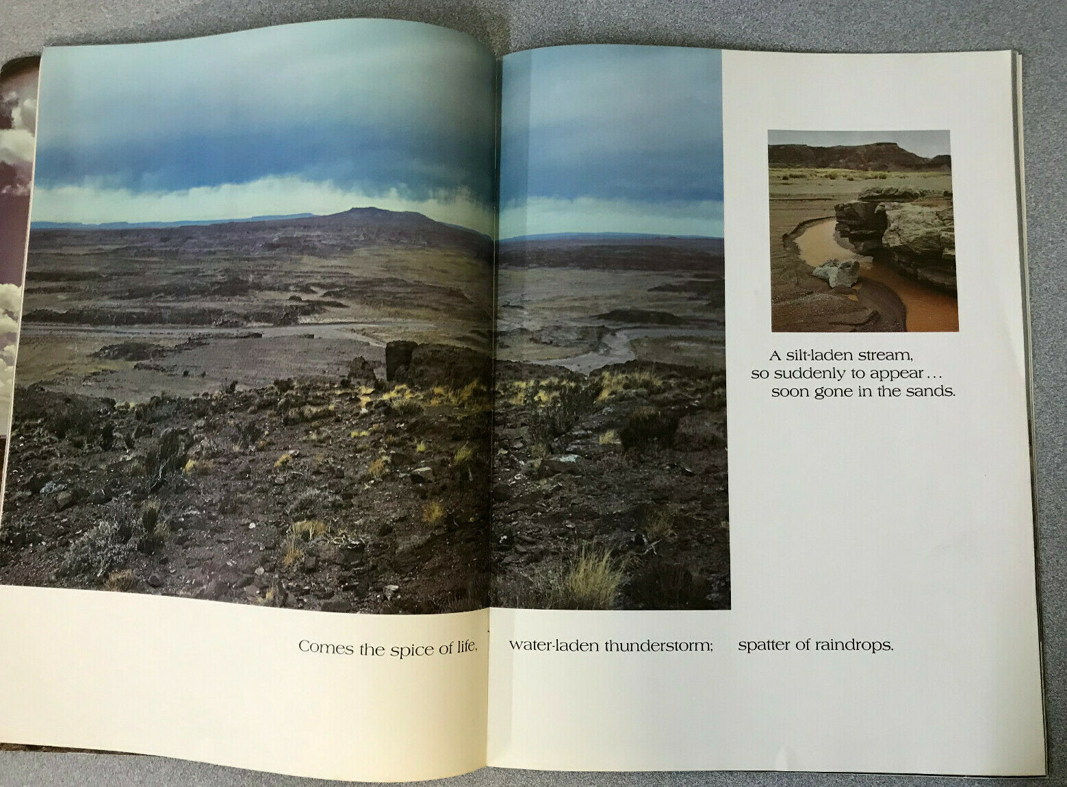 This Painted Desert Petrified Forest National Park John Wagoner 1971 Art Book
