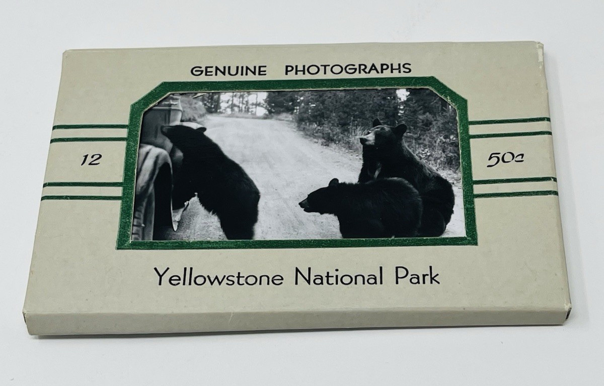1930s Yellowstone National Park Sanborn Souvenir Views Photos Mailer