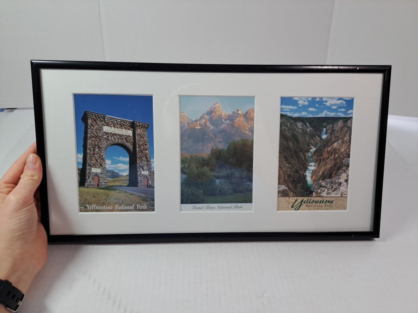 3 Framed Souvenir Prints Or Postcards Of Yellowstone National & Grand Teton Park