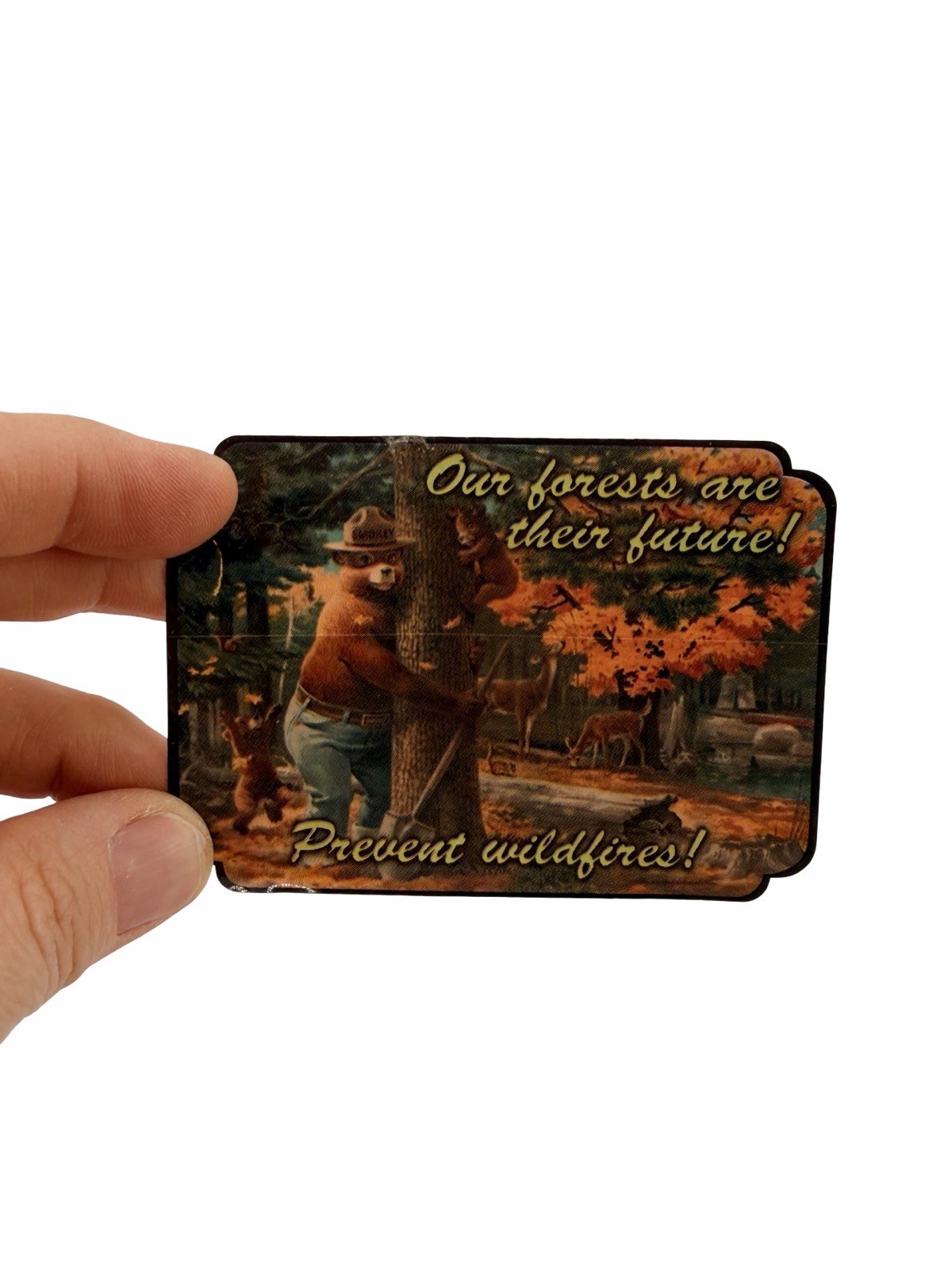 Vintage Smokey Bear Transfer Decal Prevent Wildfires Forest Service Unused