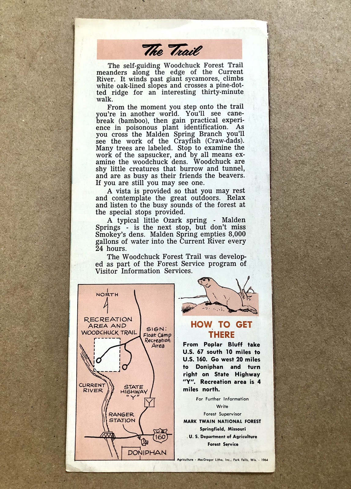 Mark Twain National Forest, 1964 Forest Service Map, Woodchuck Forest Trail, VG+