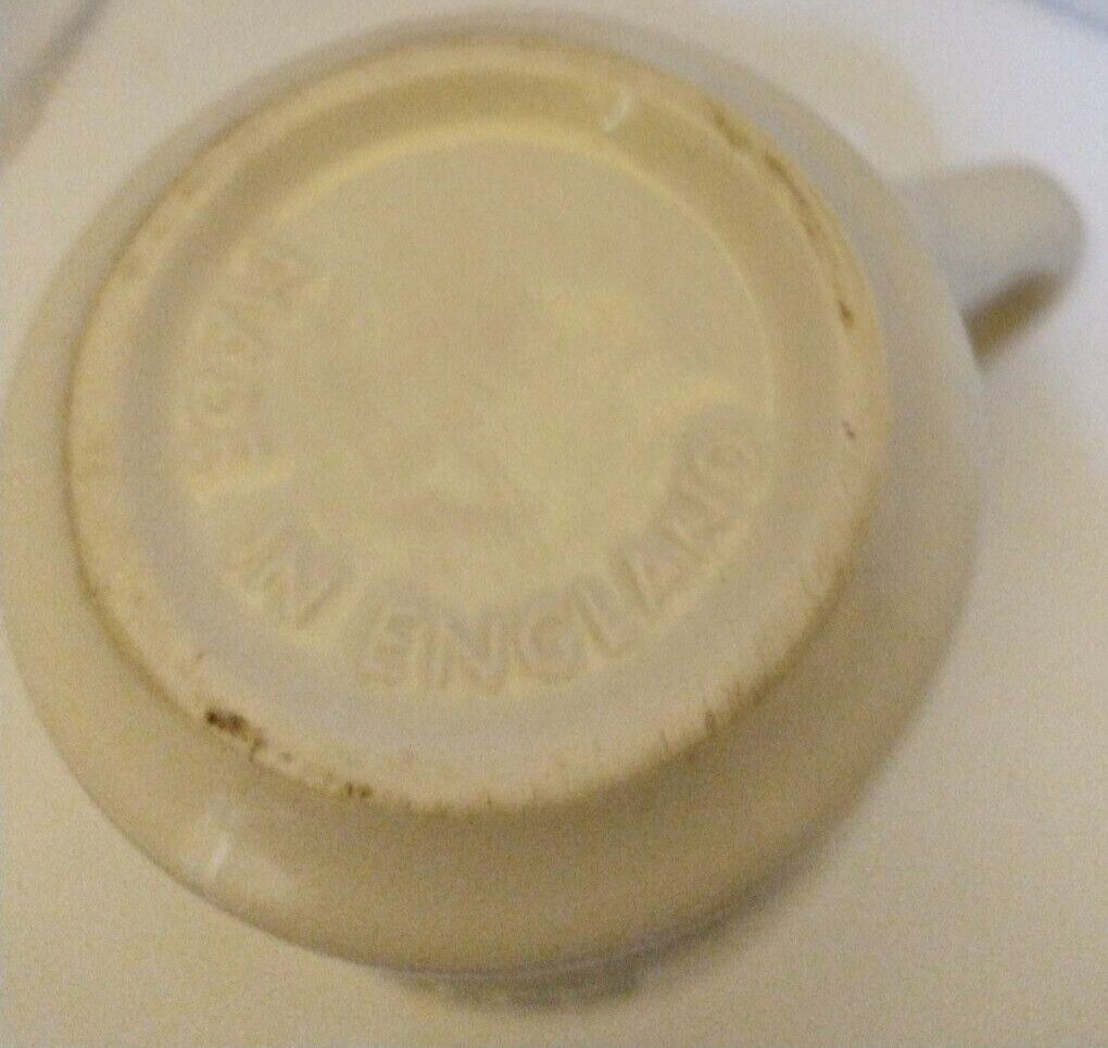 Vintage Retired Petrified Forest National Park Coffee Mug Made In England.