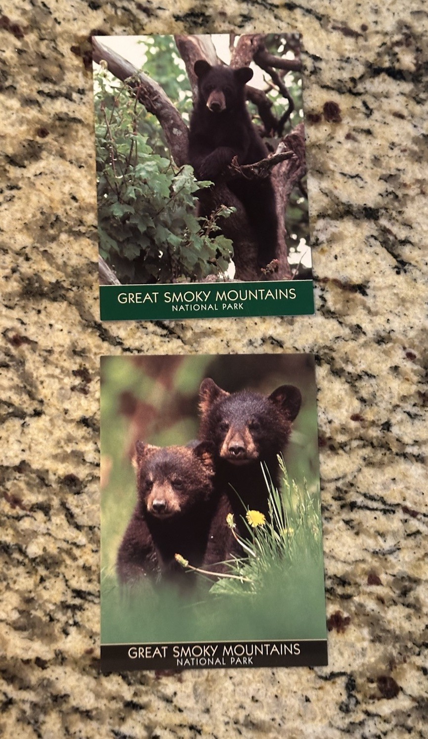 Great Smoky Mountains National Park: Picture Book and Tour Guide With Extras!