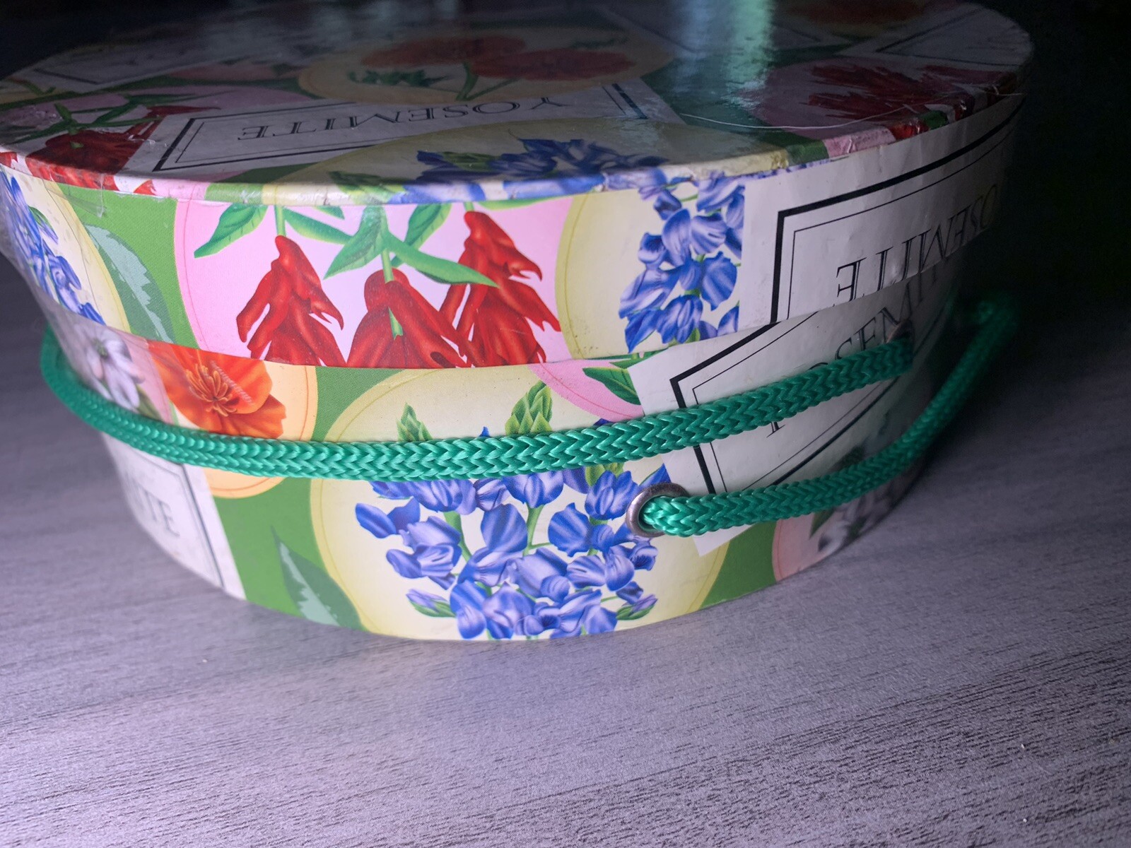 YOSEMITE FLORAL DESSERT PLATES: SET OF 4 YOSEMITE DNC PARKS AND RESORTS 6” NIB