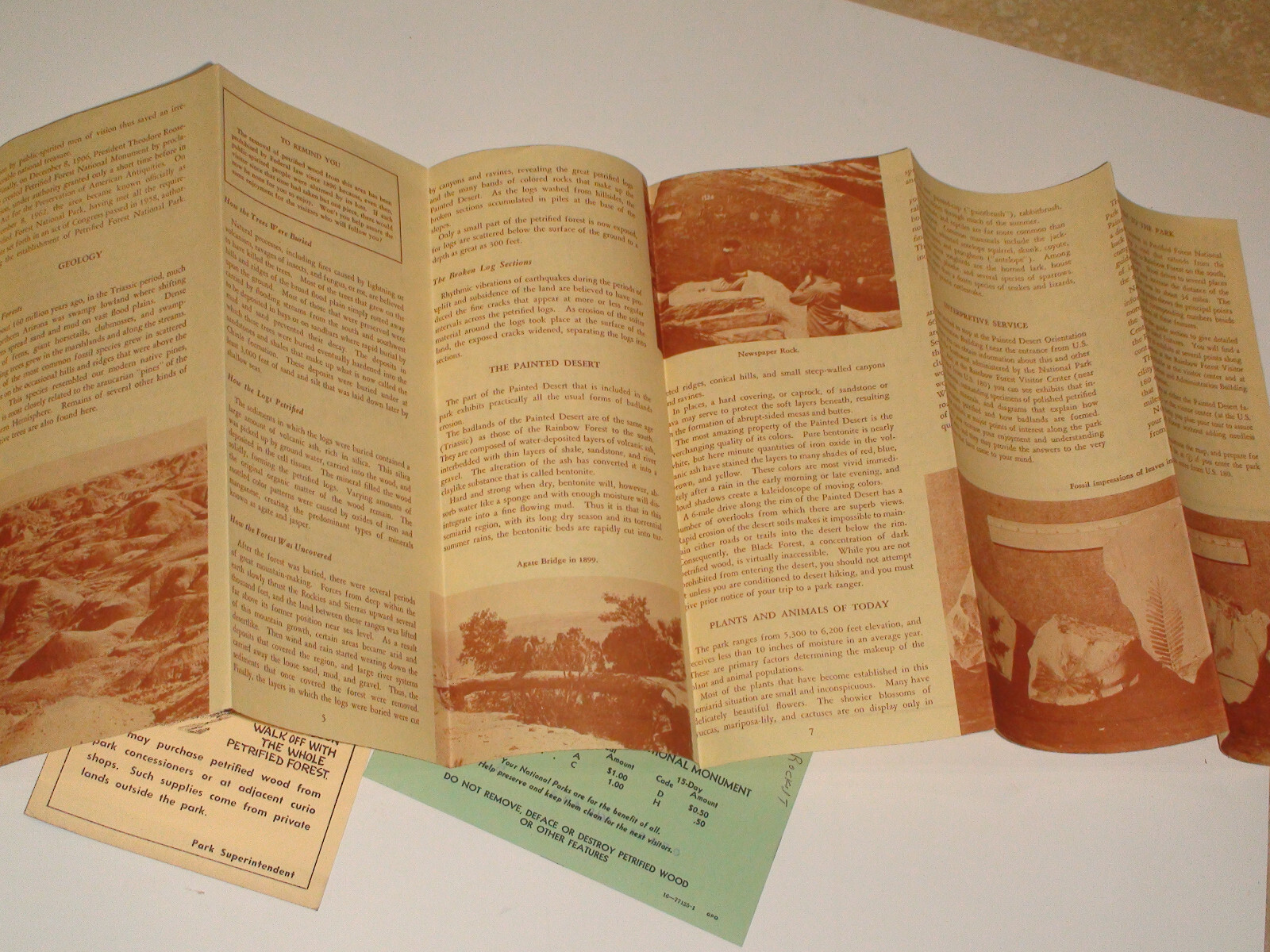 1963 Petrified Forest National Park Arizona Brochure w/ stamped 15 day permit