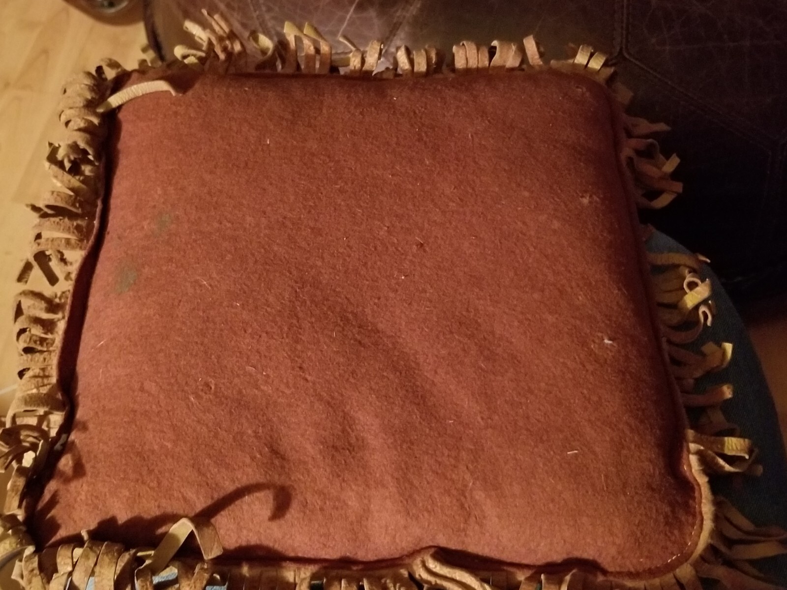 Antique YELLOWSTONE PARK Leather Souvenir Pillow Bear Hugging Tree – Fringe