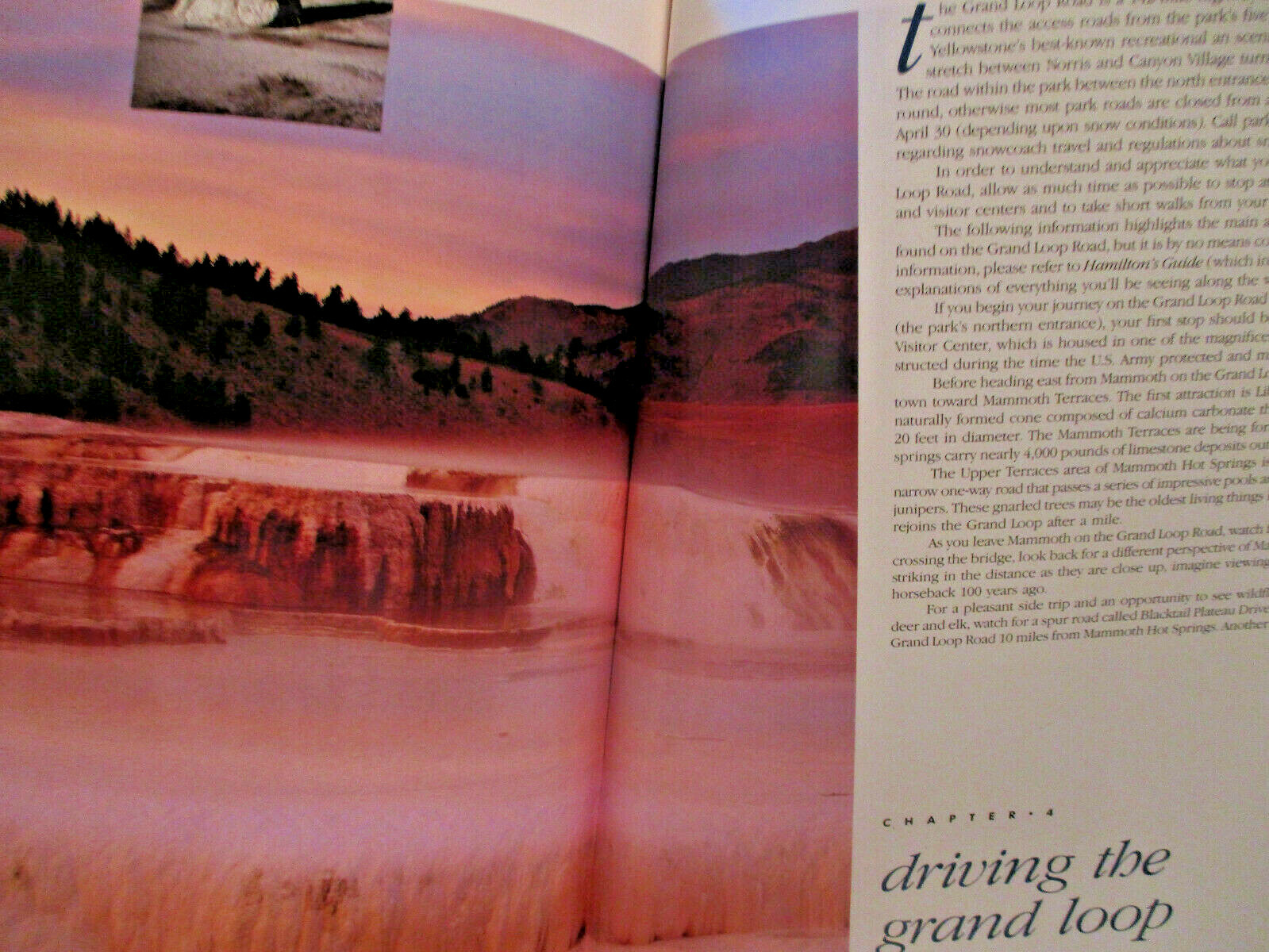 Yellowstone National Park~1989~1st Printing~Soft Cover