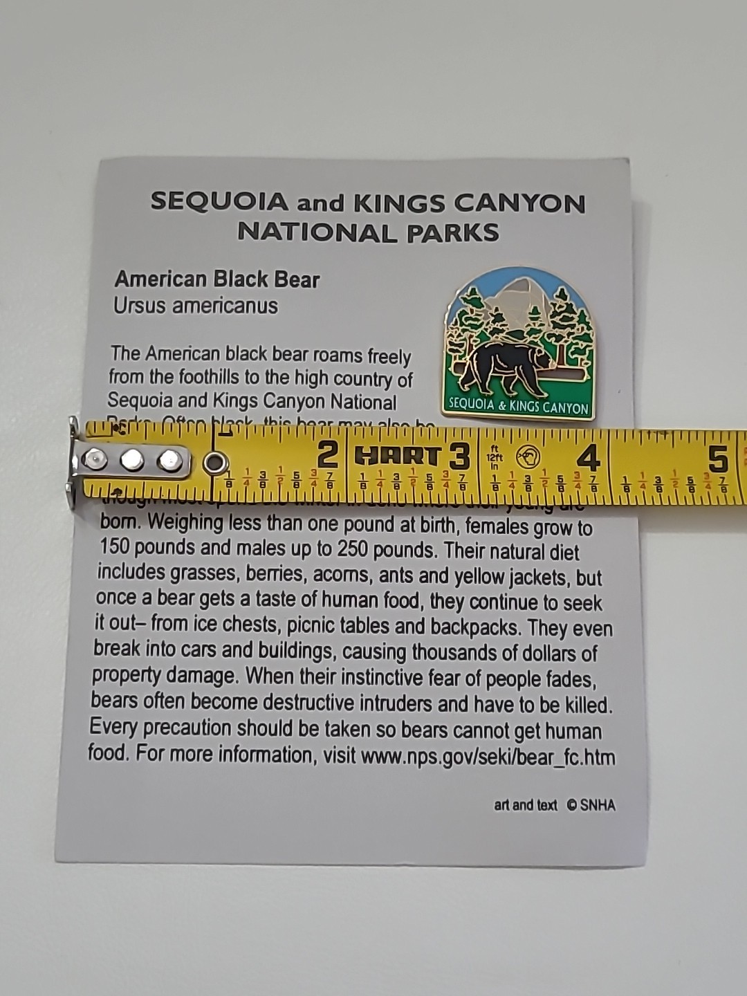 Black Bear On Slider Lapel Pin Sequoia Kings Canyon California Park Souvenir