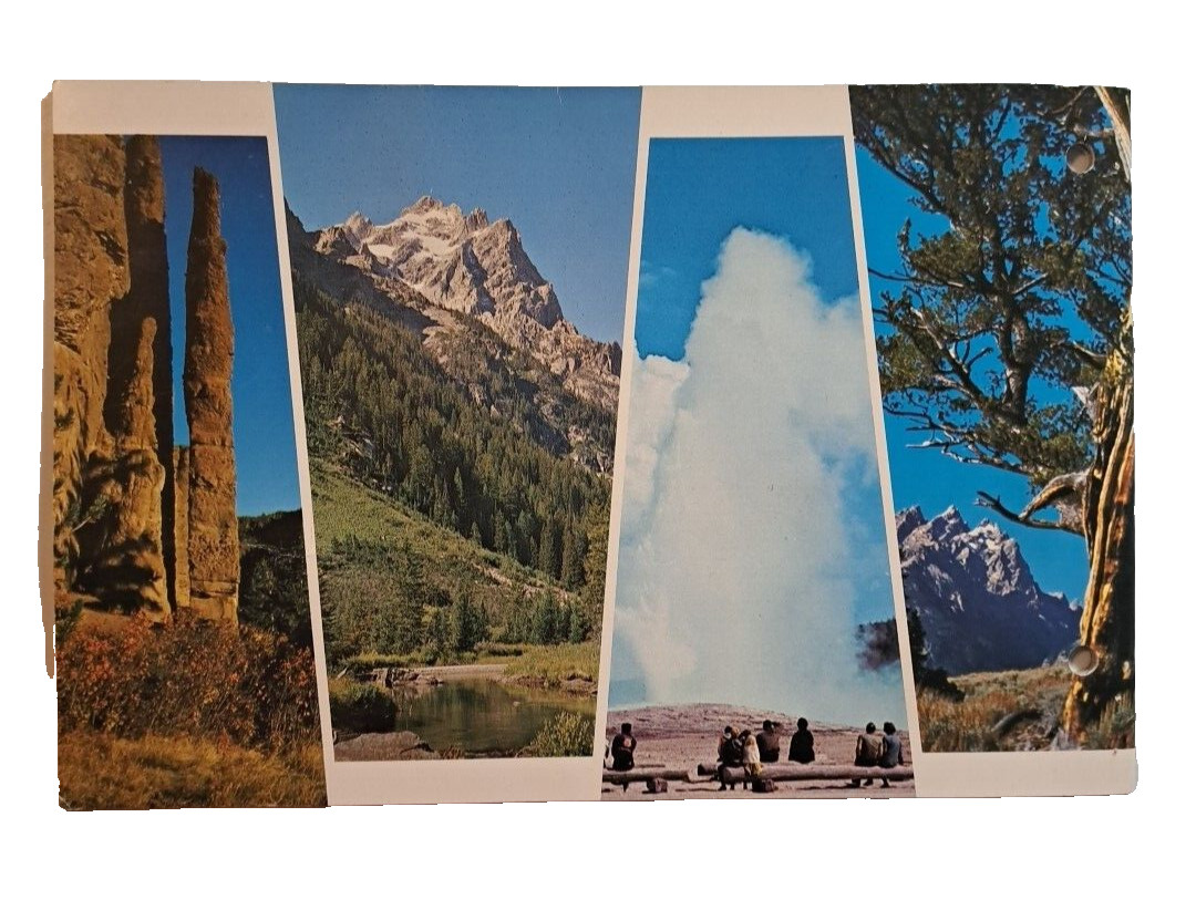 Yellowstone Grand Teton National Parks & Jackson Hole Country💥WYOMING c1960s