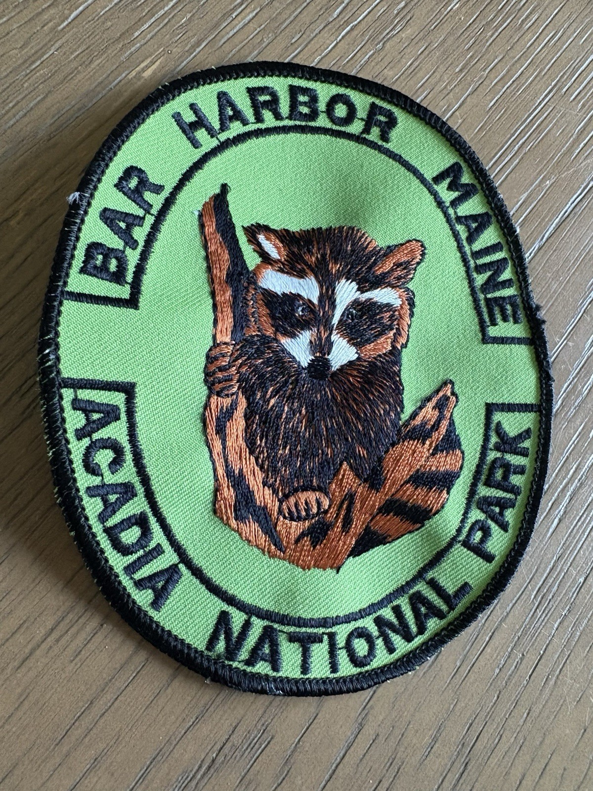 Bar Harbor Maine Acadia National Park Raccoon Patch Green 5×4”