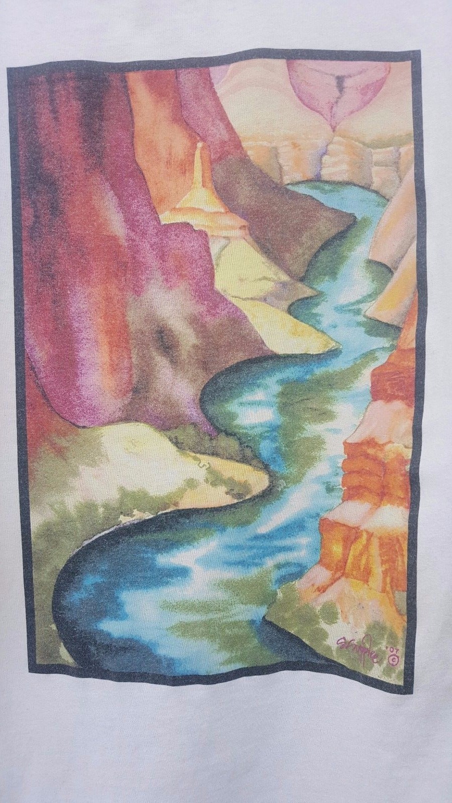 Grand Canyon Phantom Ranch Cotton Short Sleeve Shirt size Small Rafting Art