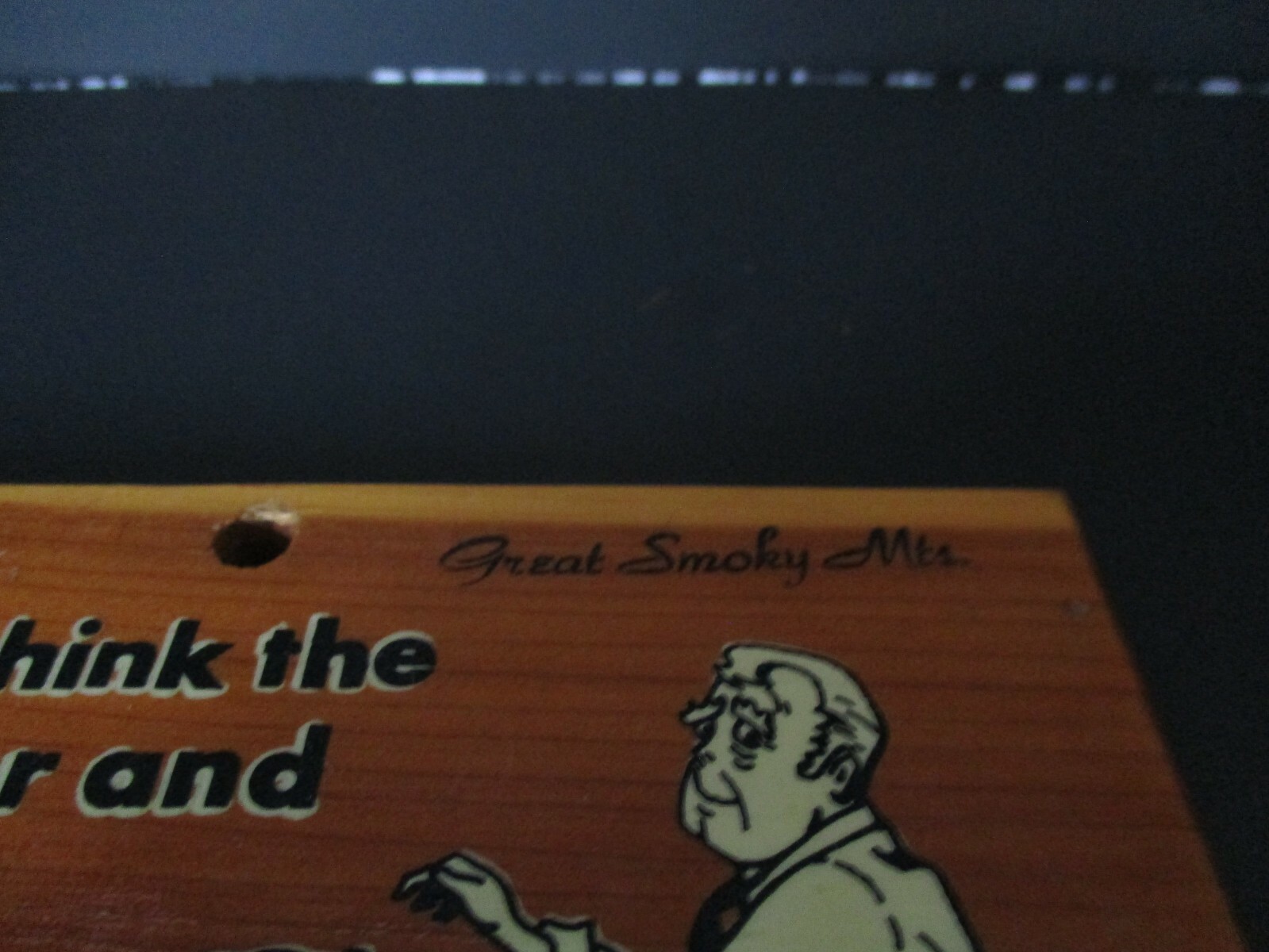 Vintage Souvenir Wood Toilet Paper Holder Great Smoky Mountains Tennessee N.C.