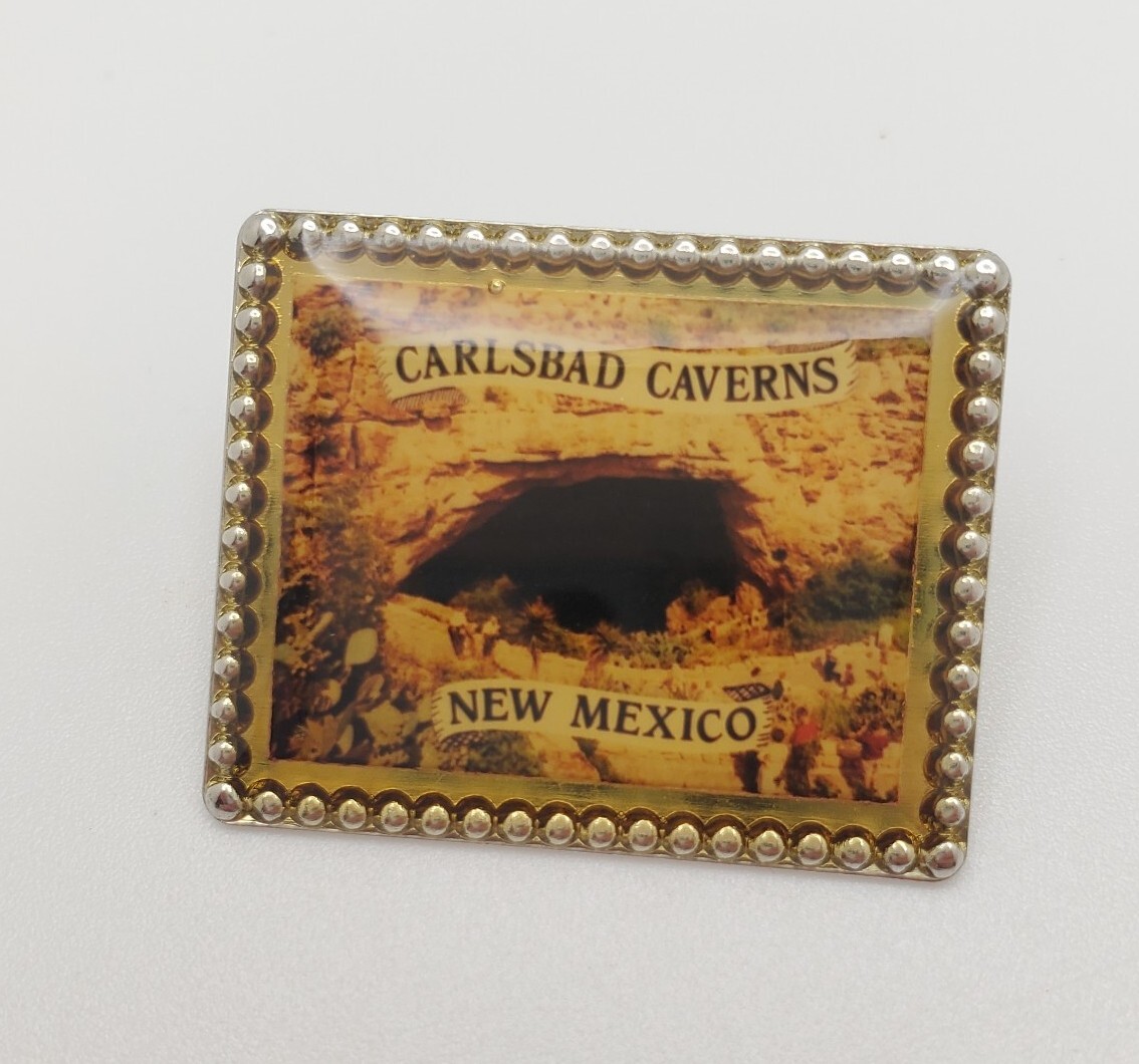 Carlsbad Caverns National Park New Mexico Souvenir Collectible Picture Pin