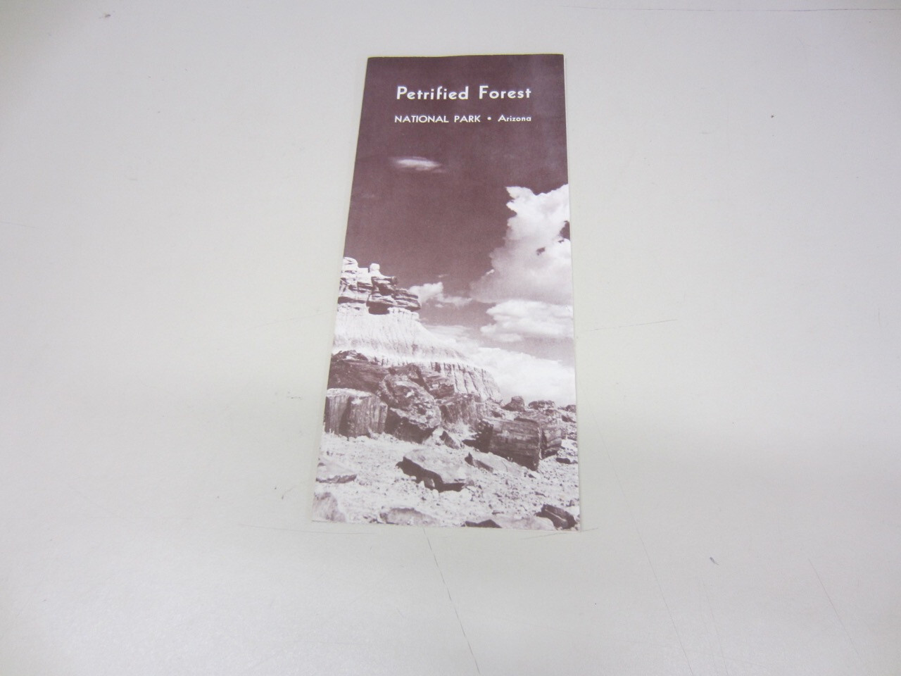 Vintage 1966 PETRIFIED FOREST Travel Brochure National Park Arizona Guide Map