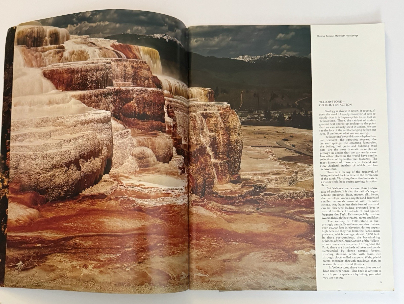 Vtg 1976 National Parkways Yellowstone National Park Photographic Large Guide