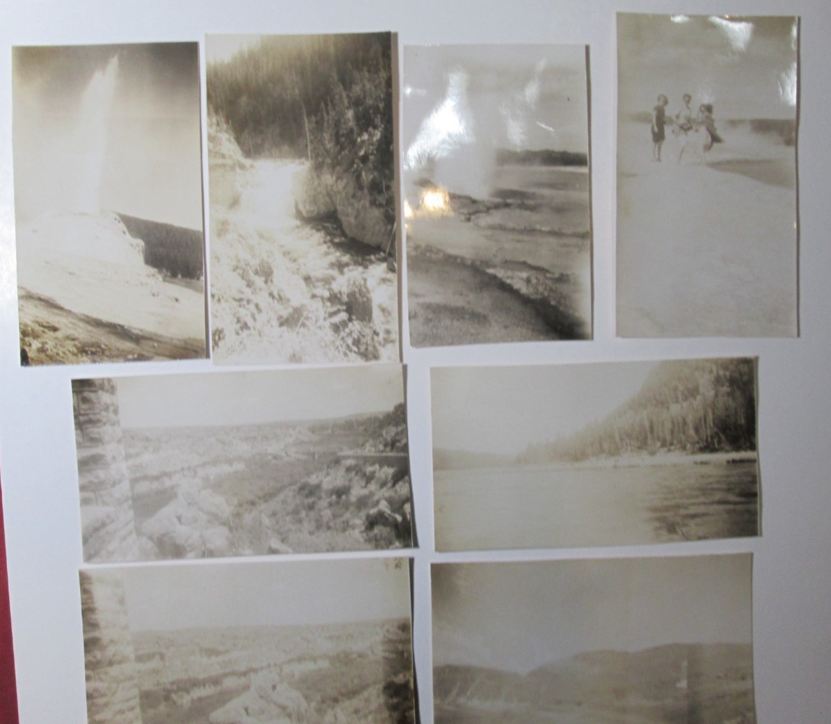 Vintage 1946 Original Wyoming Yellowstone Park Photos Lot Geysers Grizzly Bear