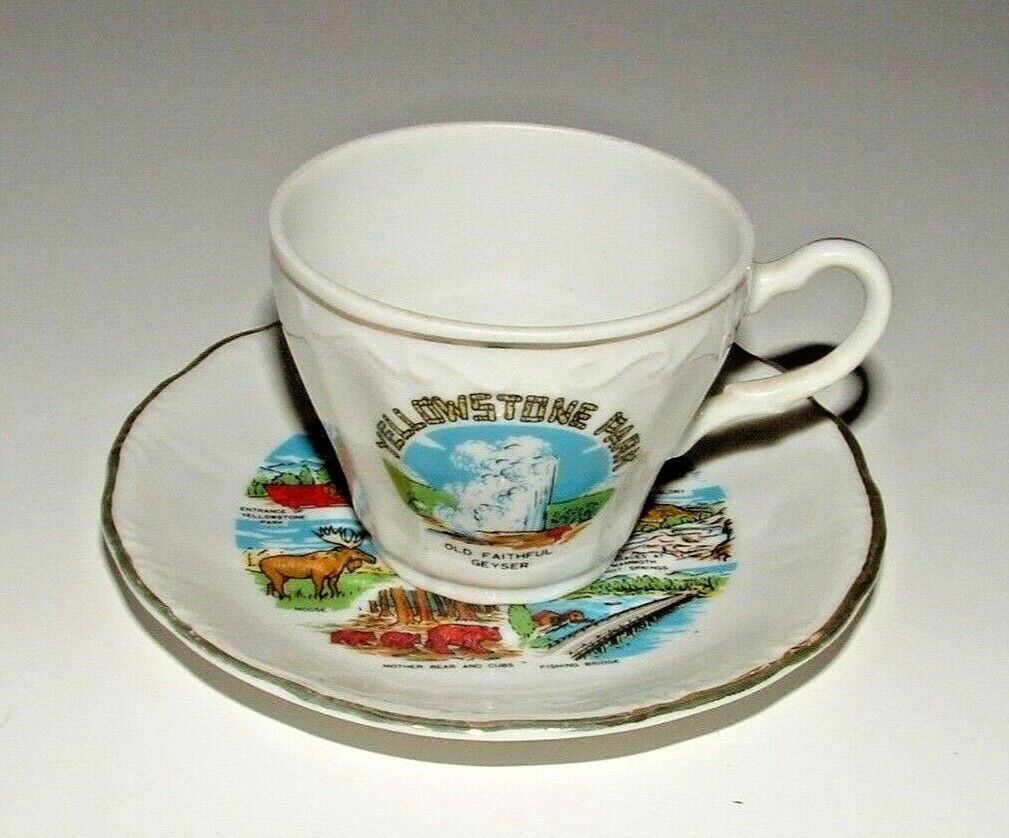 Yellowstone Park Old Faithful Cup & Saucer, Age Unknown, pre-owned