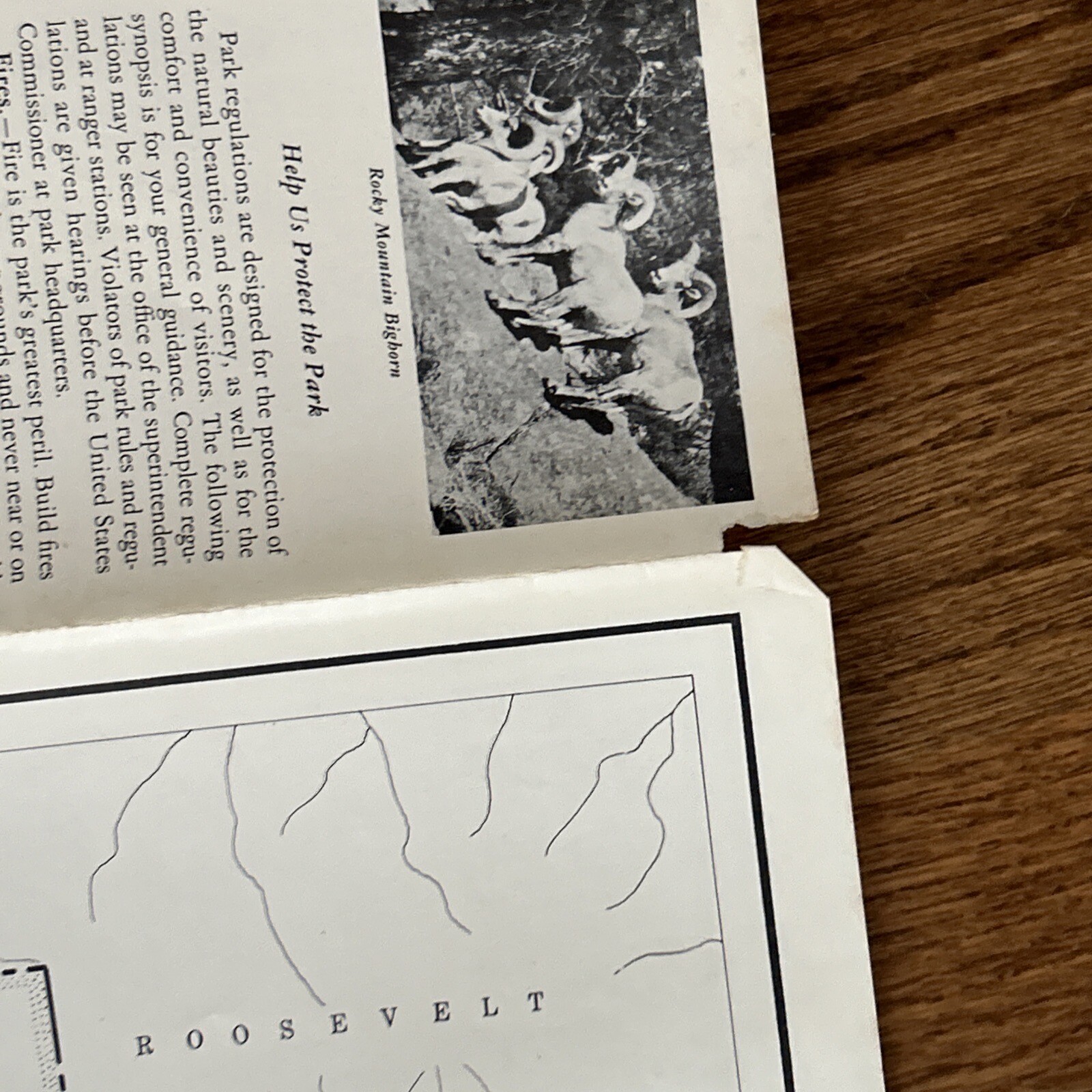 Vintage 1952 Rocky Mountain National Pk CO Map Brochure, Rocky Mountain Ntl Pk