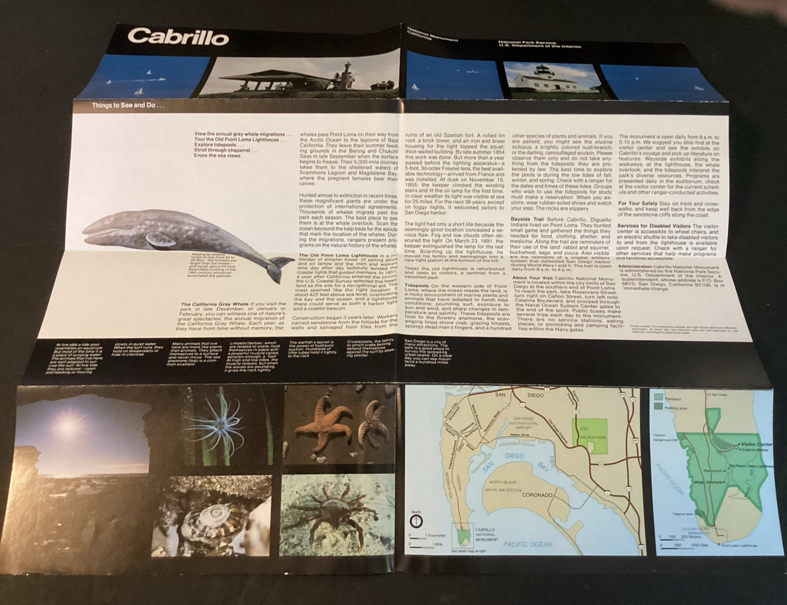 National Park CA Vintage 1981 Cabrillo National Monument/tidepools/gray whales