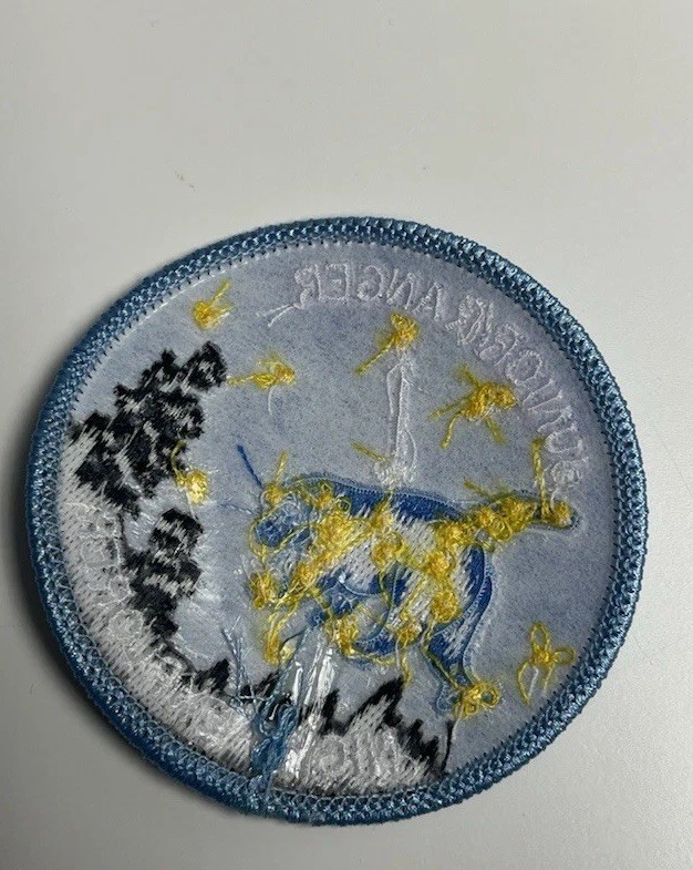 NPS Junior Ranger Night Explorer Patch Ursa Major Big Bear Constellation NEW