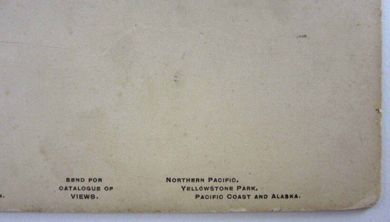 Yellowstone National Park Cabinet Photo Frank Jay Haynes Hand Colored 1880-1900s