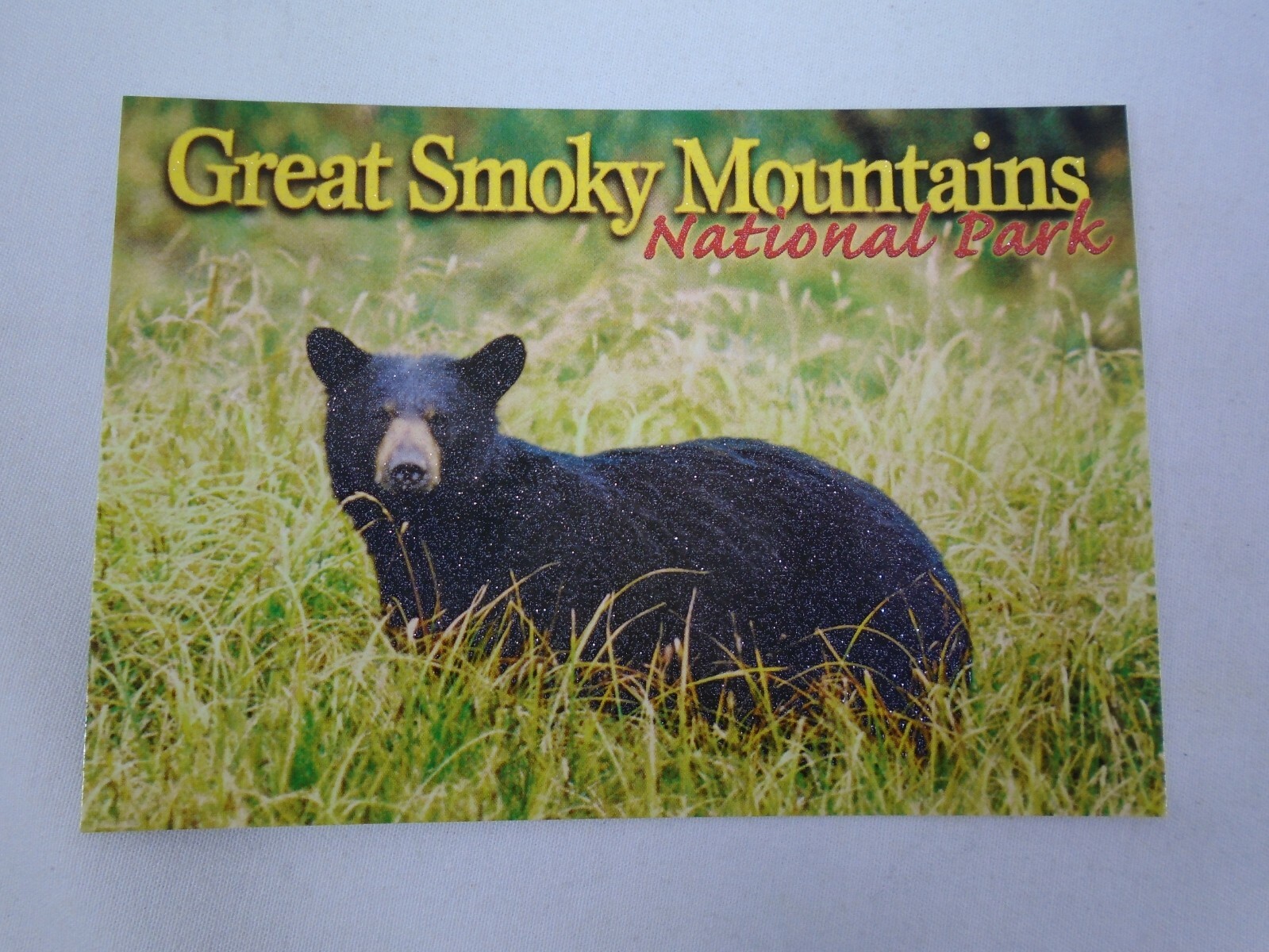 Great Smoky Mountains National Park Black Bear Postcard Patch Pin Sticker