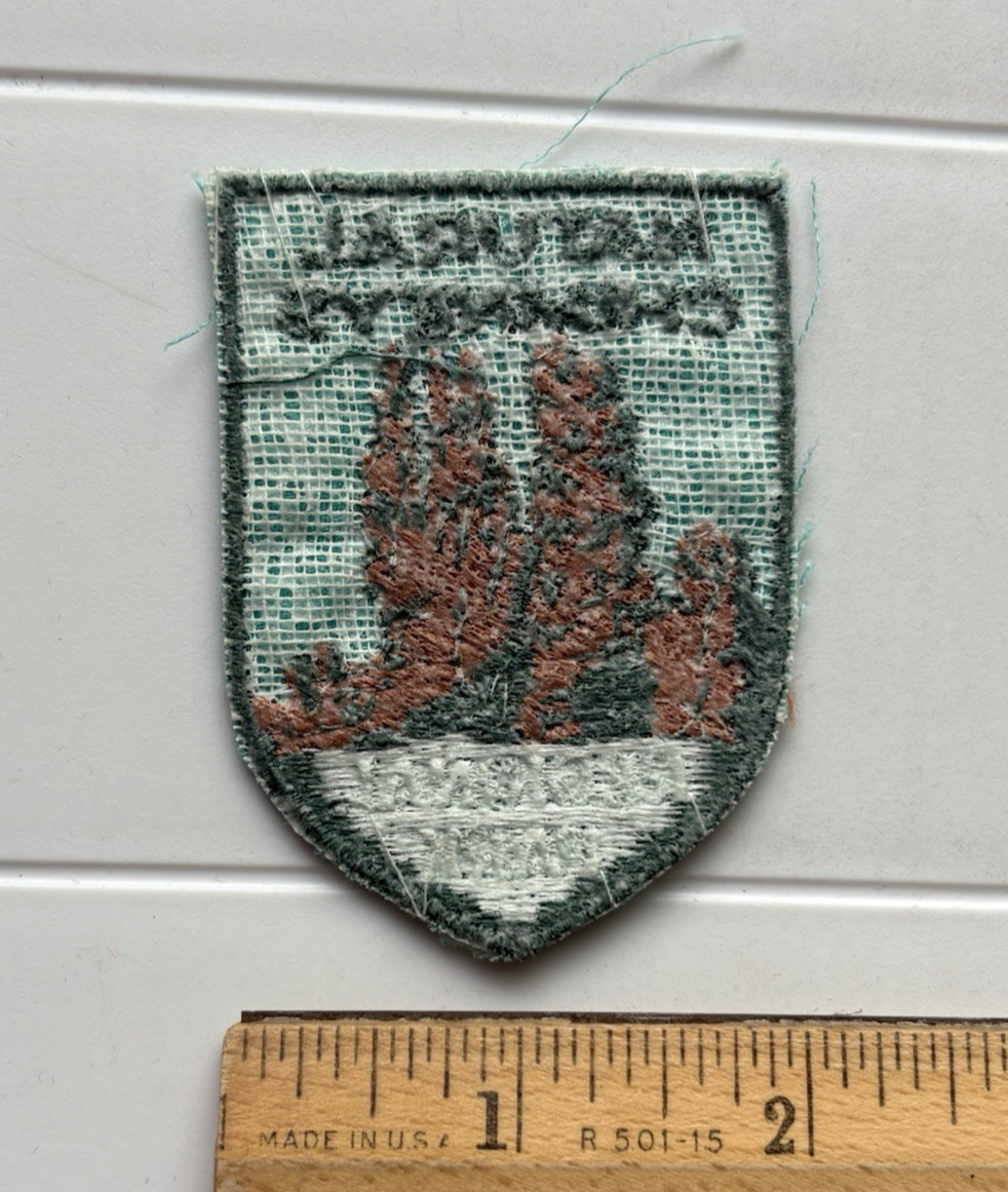 Natural Chimneys Regional Park Virginia Souvenir Sew-on Embroidered Patch Badge