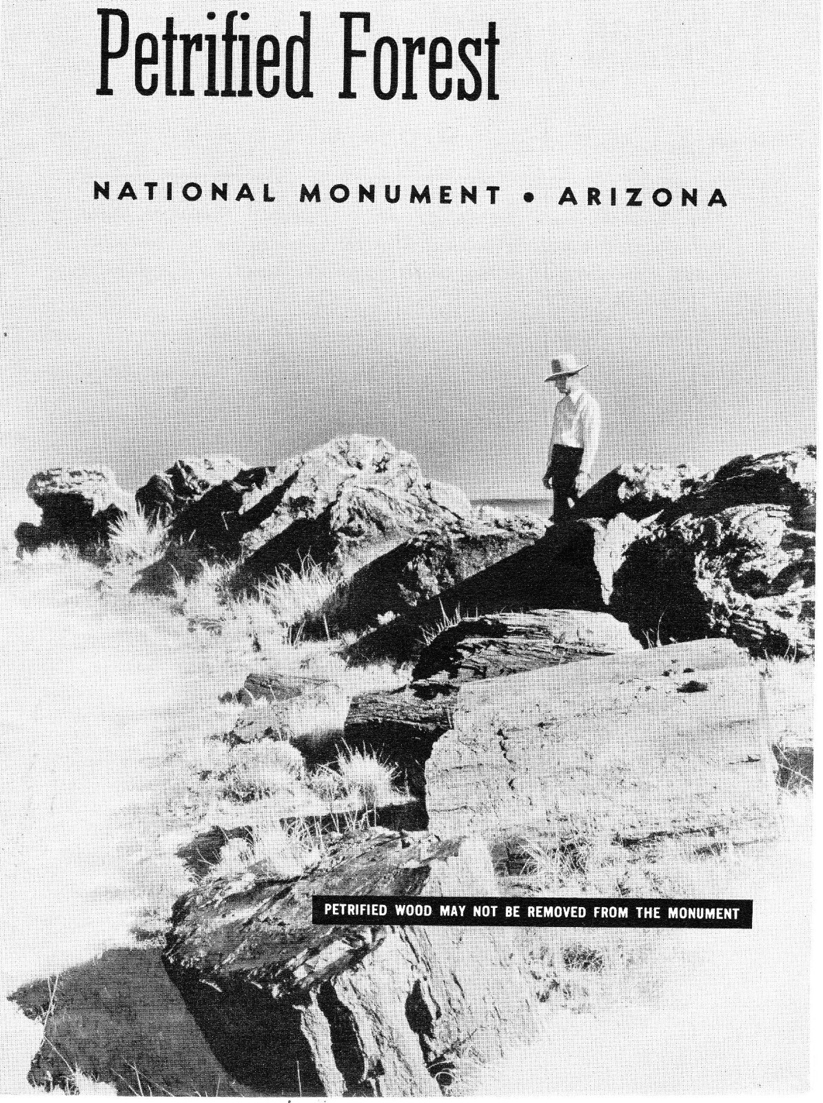 c1955 Petrified Forest National Monument AZ Dept. of Interior Folder Map