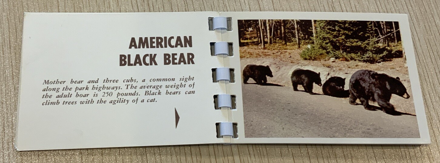 Vintage 1970’s Yellowstone National Park 10 Album Print Mini Book -All In Color