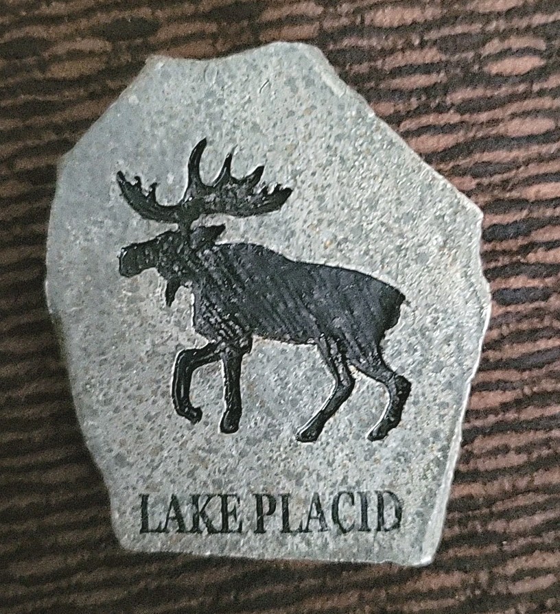 Lot of 8 National Park State Travel Magnets Souvenir Fridge Collection