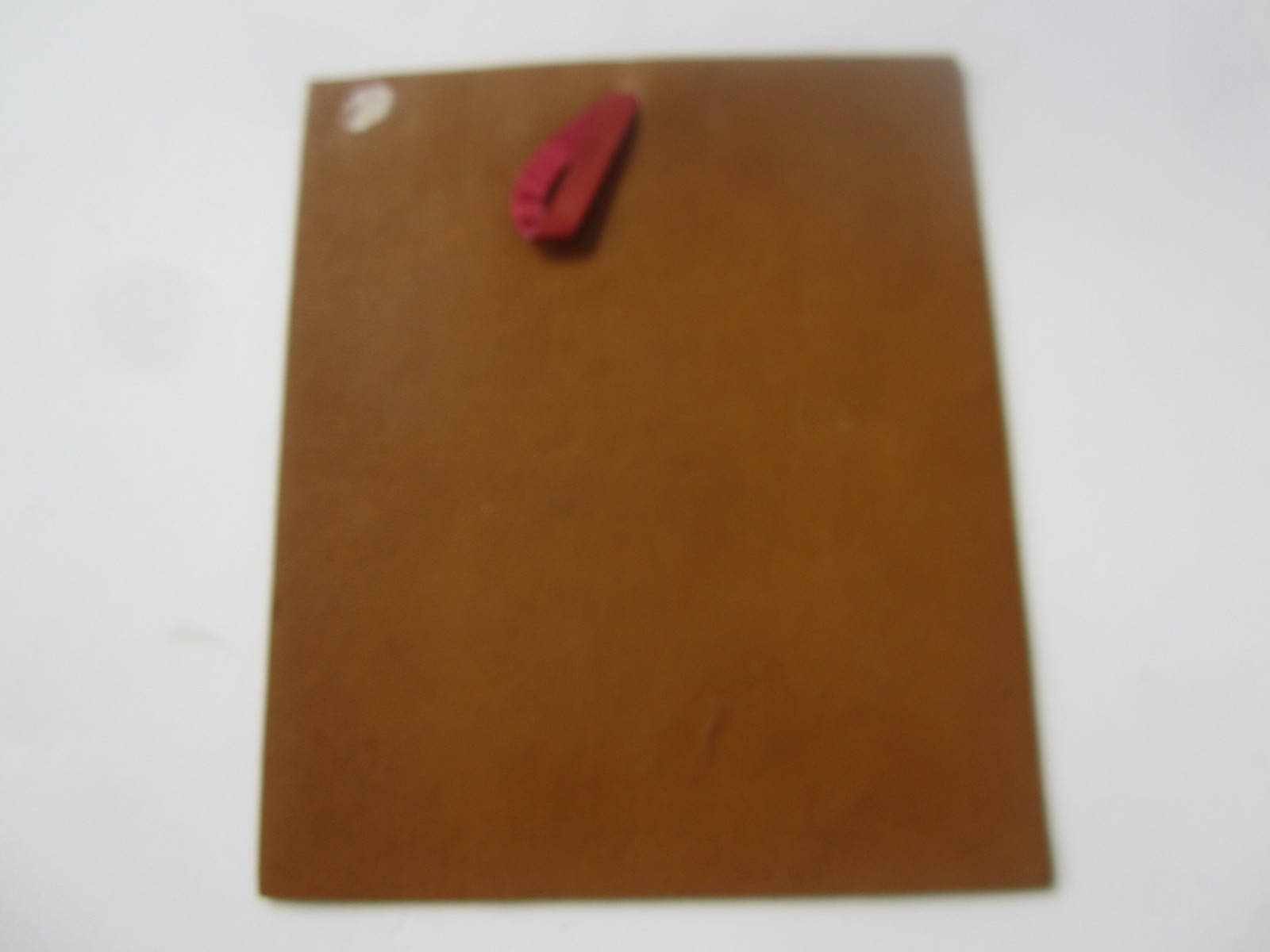 c.1950 – GRAND CANYON National PARK – Leather Greeting Card – LIFE – DOG