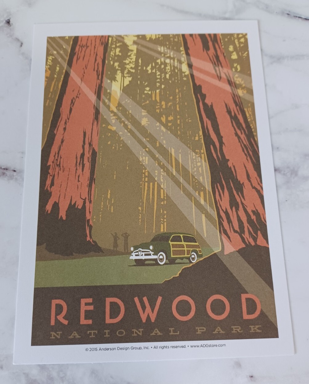 Redwood National Parks 100th Anniversary Illustrated Print Post Card