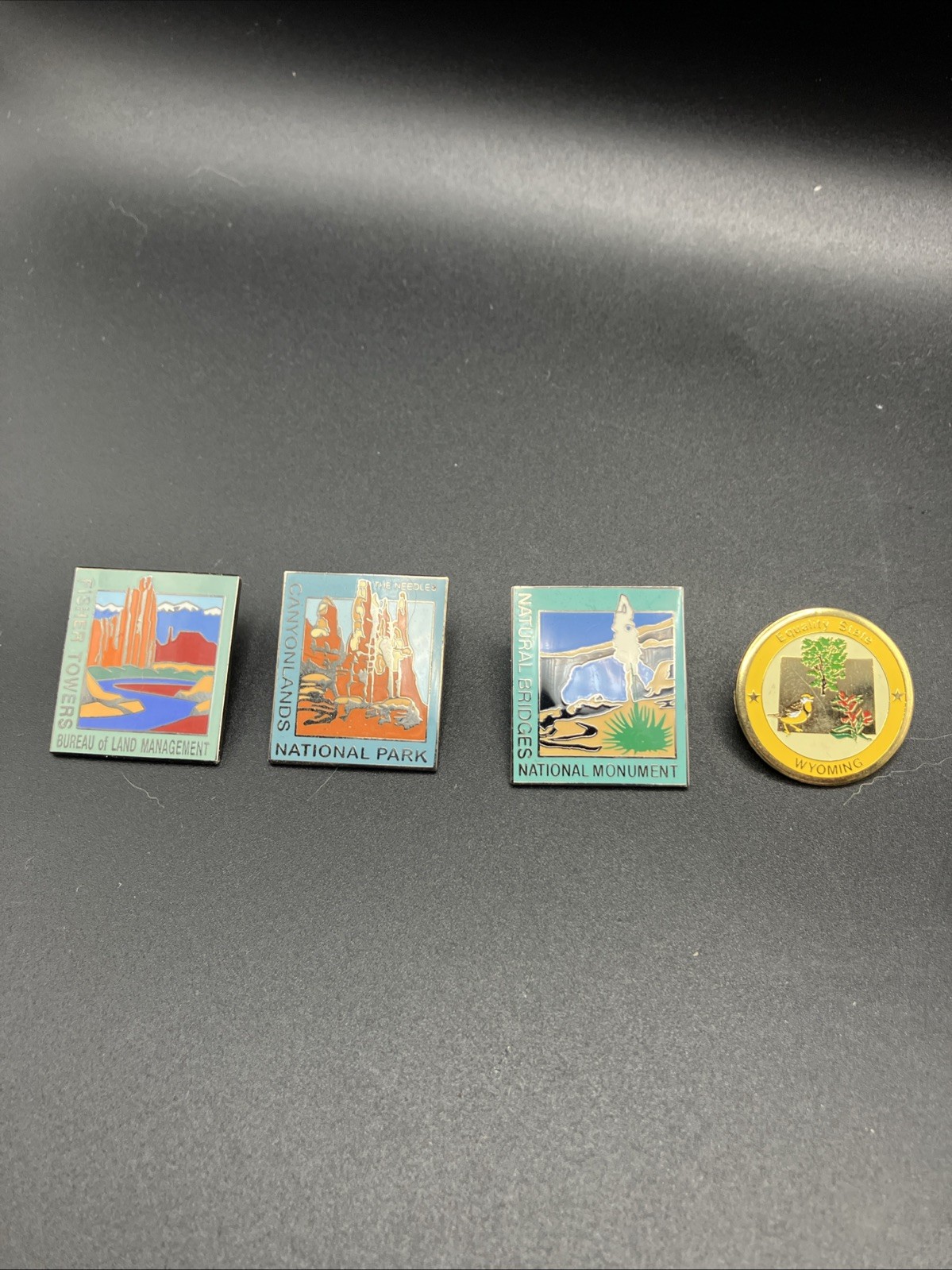 Various National Park Souvenir Lapel Pin
