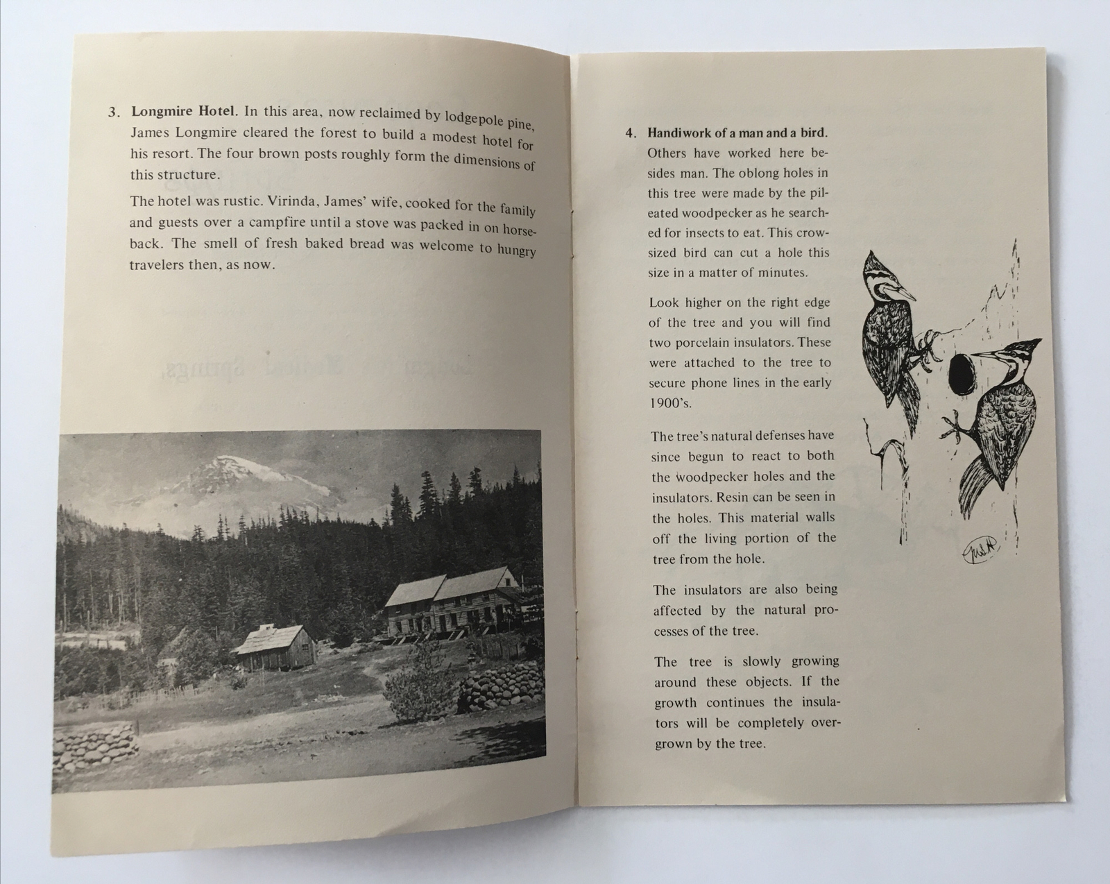 Vtg Mount Rainier National Park Trail of the Shadows Trail Washington Guide. Z