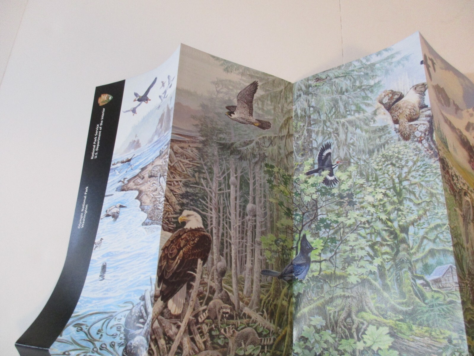 2020 Olympic Washington National Park System Brochure Map Guide~B24