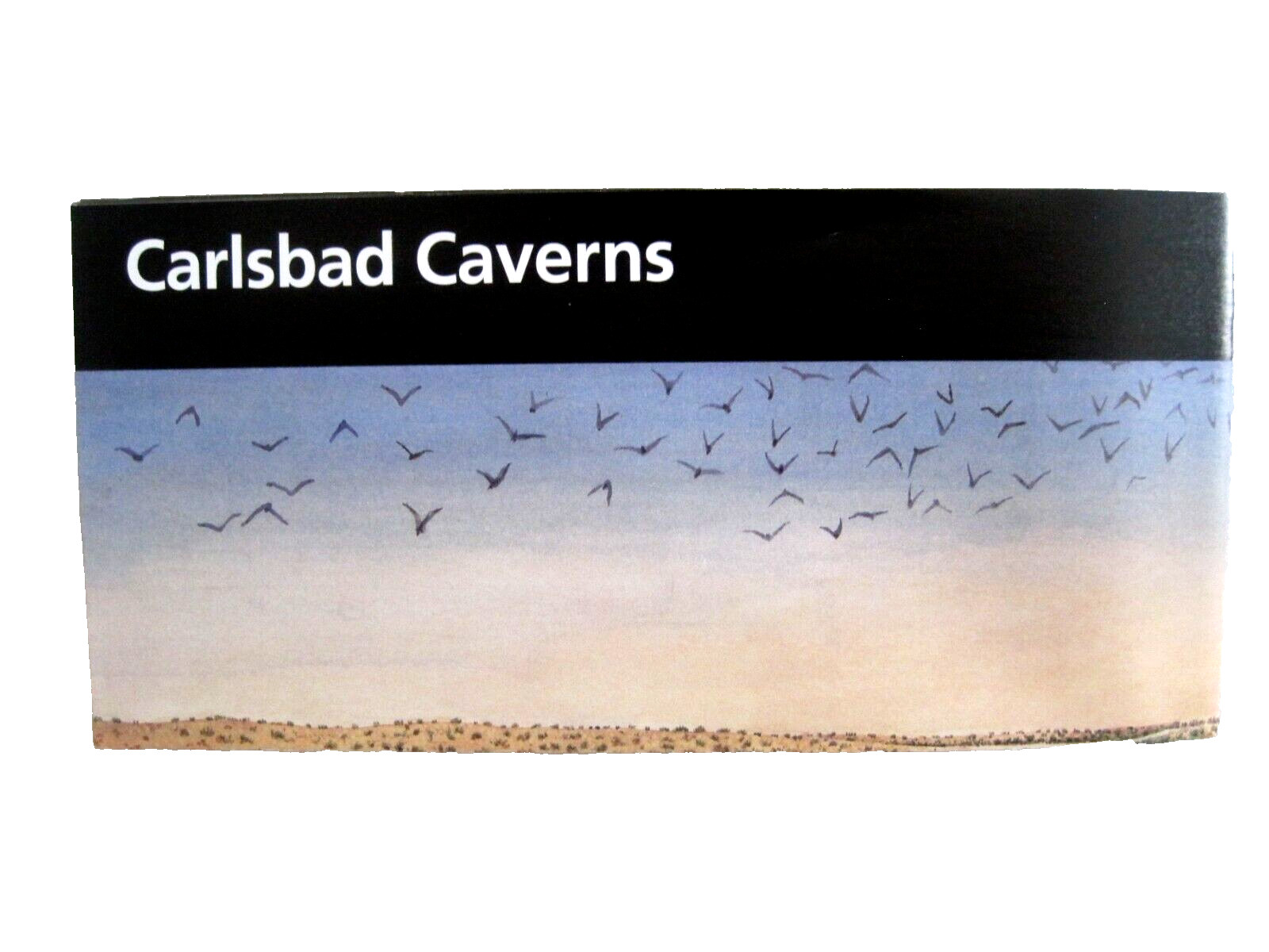 Carlsbad Caverns National Park National Park Service New Mexico Unigrid Brochure