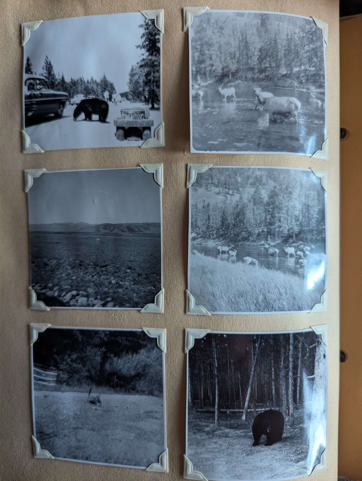 1953 Travel Log “Thru The West With The Bischoffs” Journal, Photos, Postcards