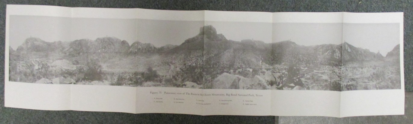 Big Bend National Park Geology; Rio Grande Guidebook 7, Maxwell + Maps