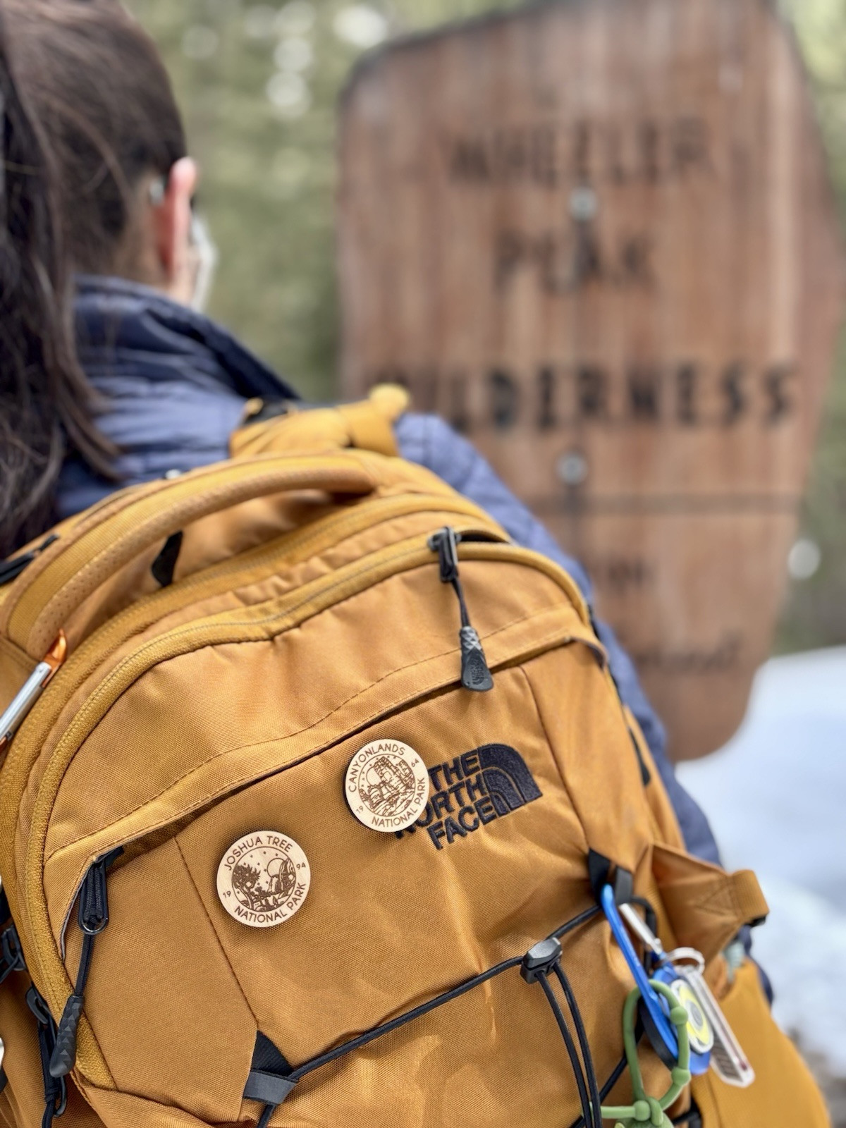 National Park Pins | NPS Pins | Made in USA (all 63 parks included)