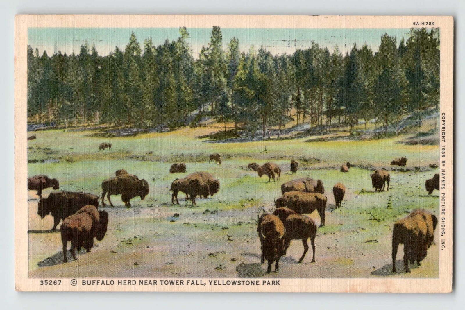 1940 Yellowstone Park linen post cards