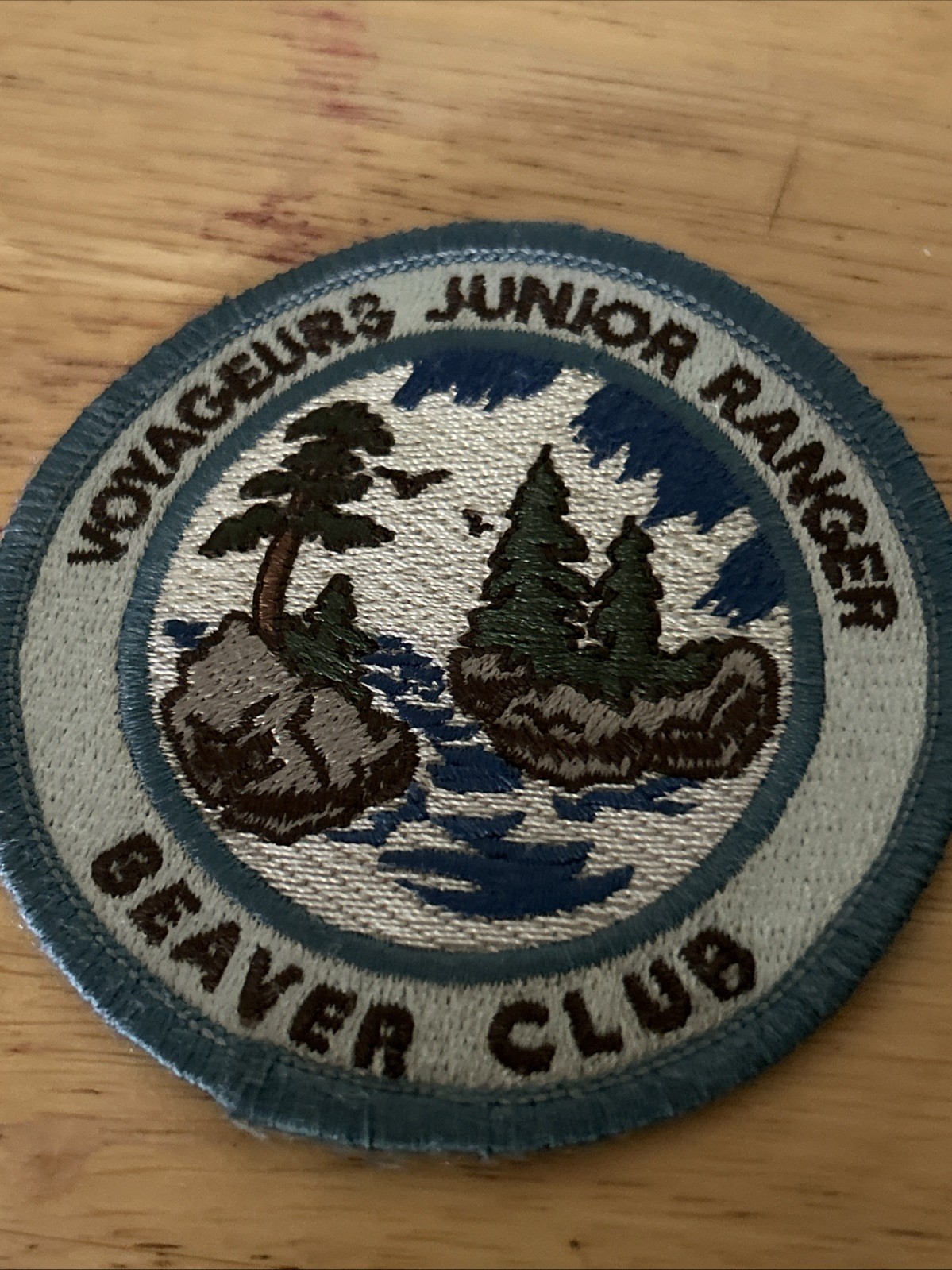 NPS Junior Ranger Patch Glacier Bay National Park Whale Fluke, Blue Patch