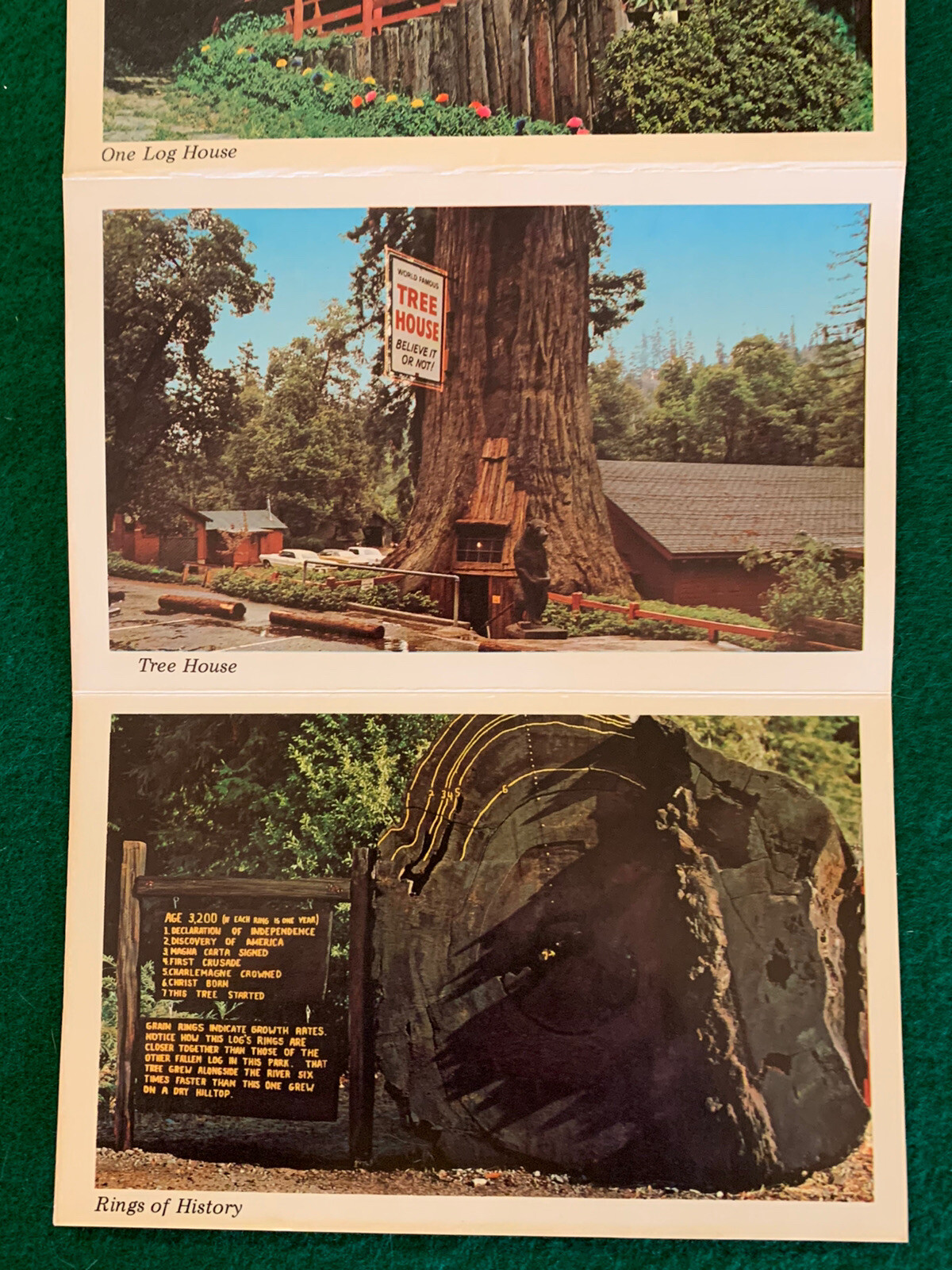 Vintage 1977 The Redwoods and Californias North Coast