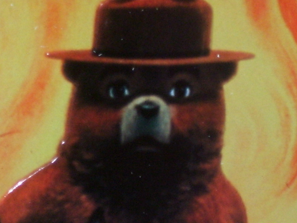 SMOKEY THE BEAR — Saving Deer From FOREST FIRE — Embossed Tin Metal Sign -NICE