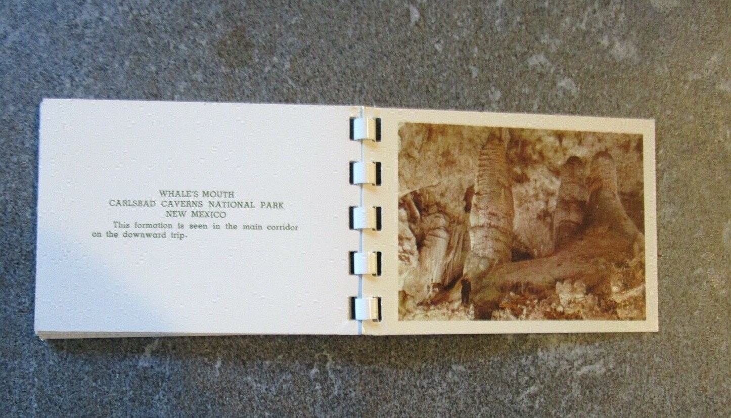 Vintage Carlsbad Caverns National Park 10 Color Ektachrome Photos -New Mexico