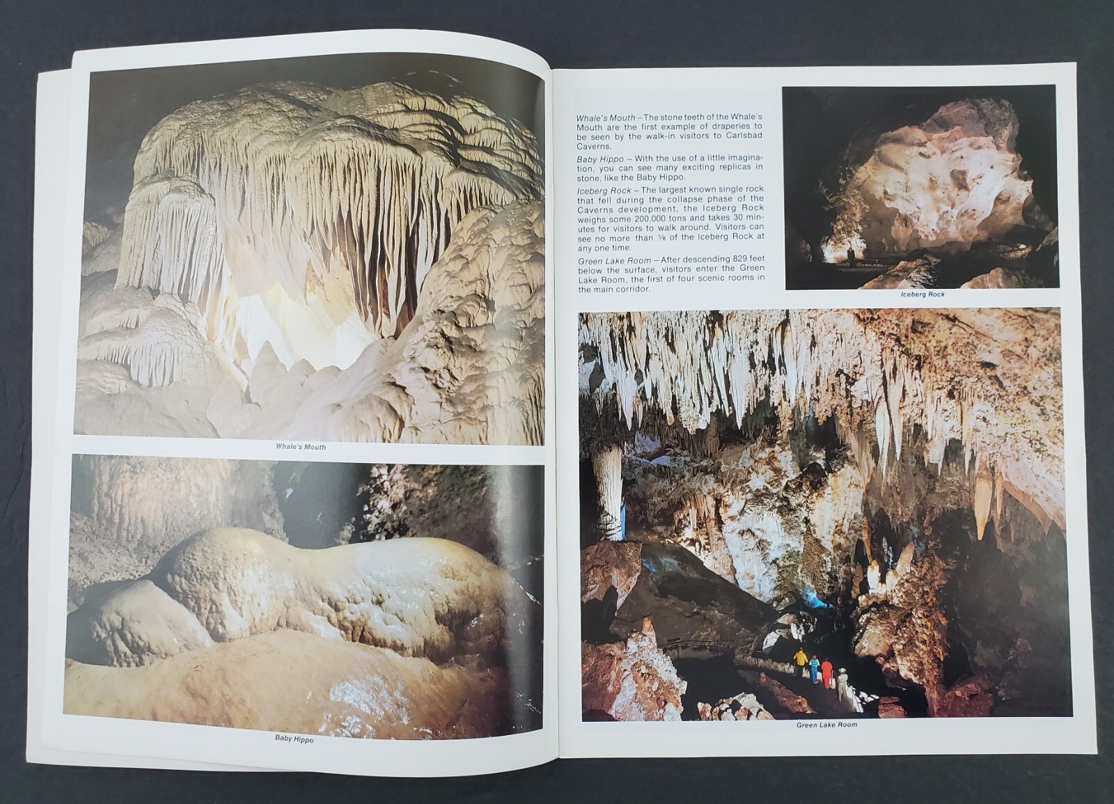 1967 Carlsbad New Mexico Caverns National Park Vintage Souvenir Pictorial Book